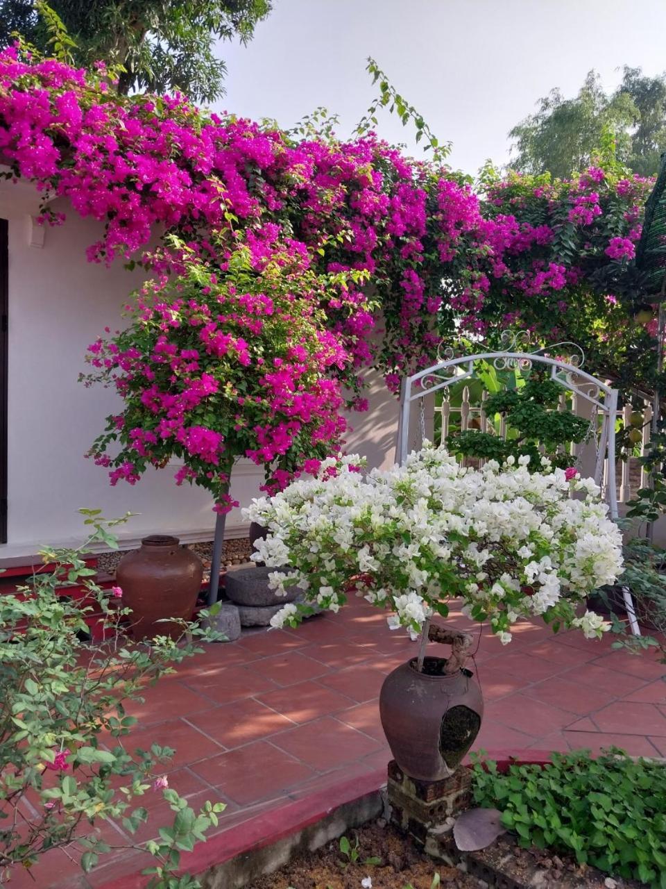 Nha Xanh Homestay ニンビン エクステリア 写真
